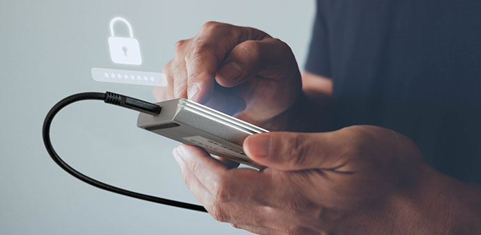 owc guardian hand sized